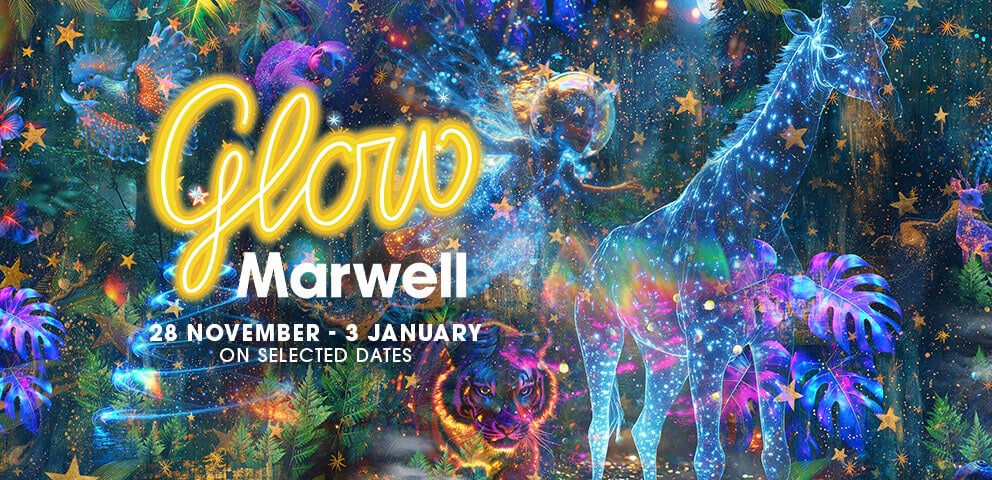 An illustration with glowing animals and plants, with text saying Glow Marwell