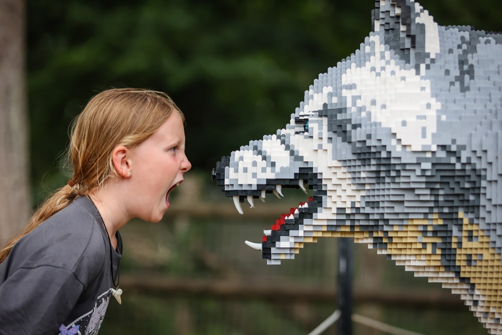 A child roars face-to-face with a dire wolf made of toy bricks at Marwell Zoo's Extinction event
