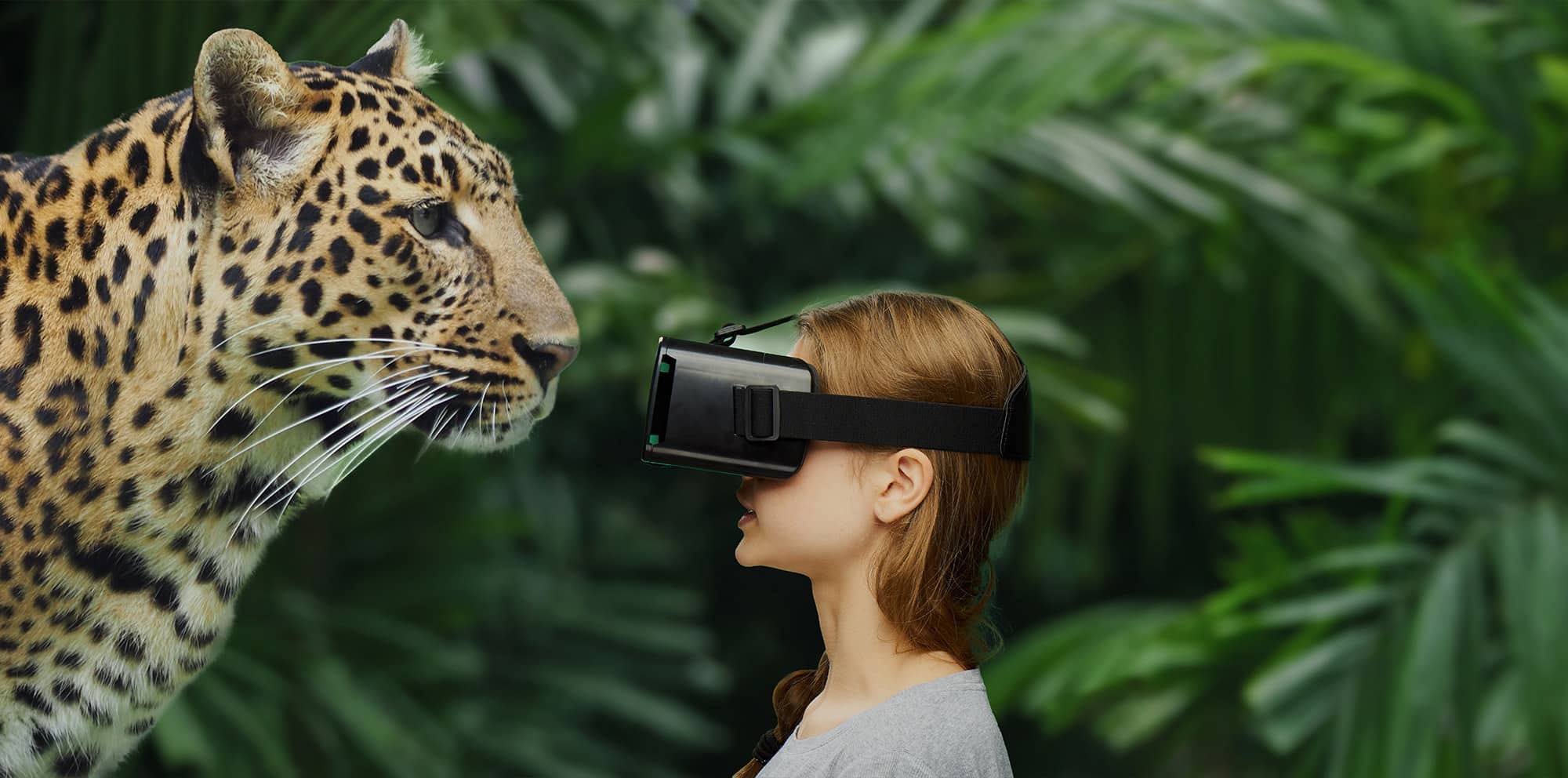 Virtual Reality Experience at Marwell Zoo