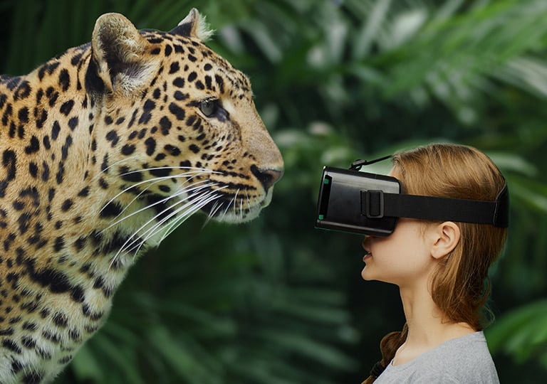 Virtual Reality Experience at Marwell Zoo