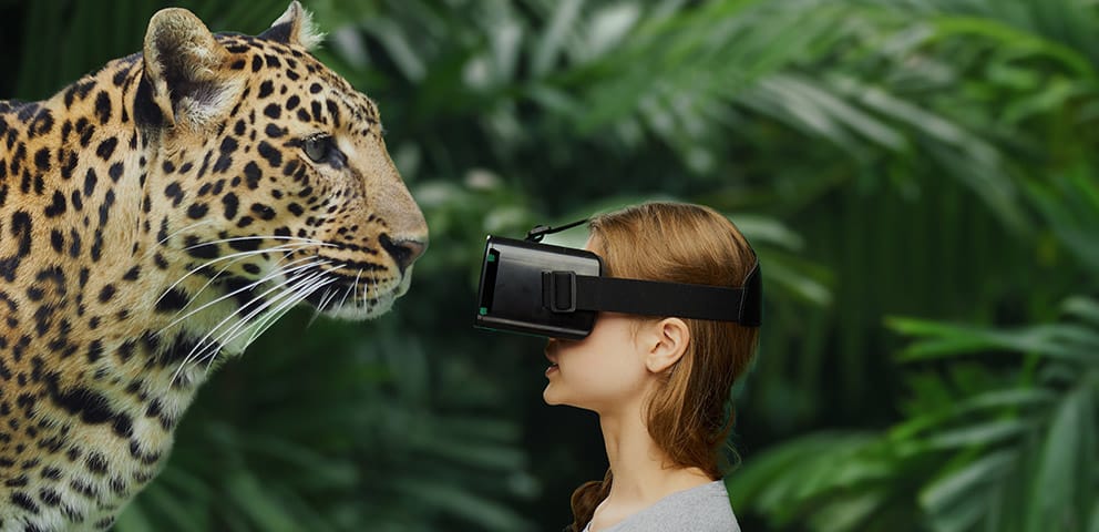 Virtual Reality Experience at Marwell Zoo