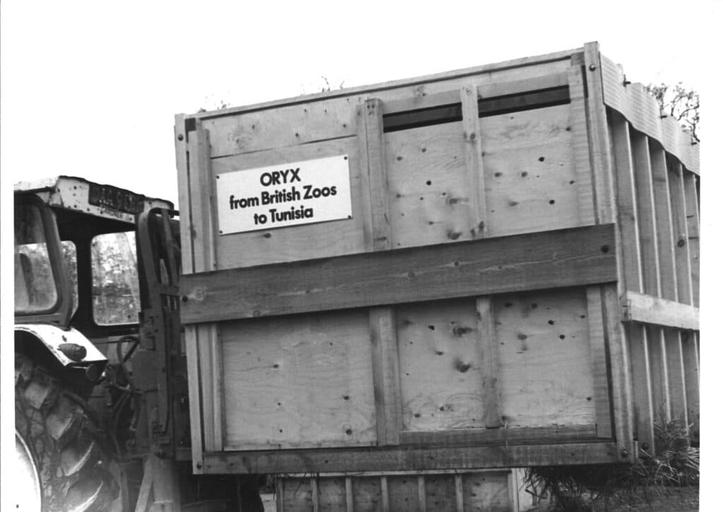 a crate transporting animals from the UK to tunisia with destination wording written on it