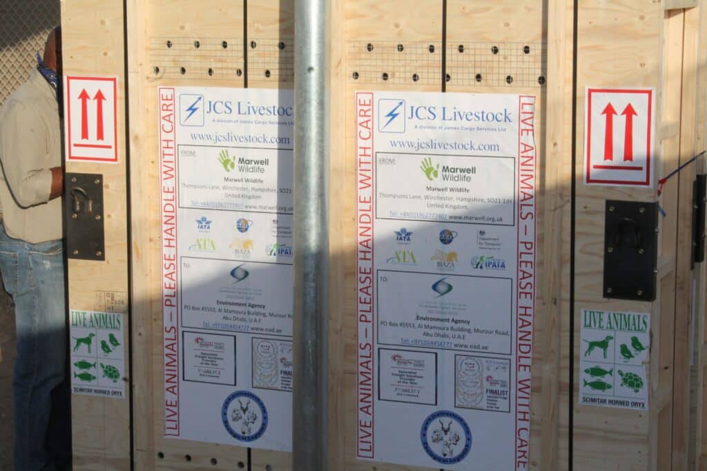 boxes to be shipped out with "Marwell Wildlife" written on them