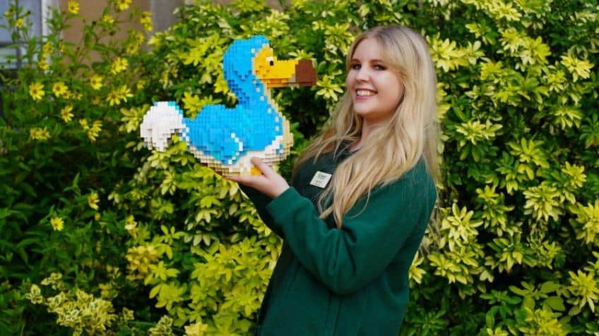 A Marwell Zoo staff member holds a dodo made of toy bricks