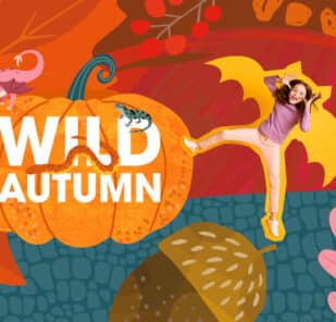 Wild Autumn at Marwell Zoo