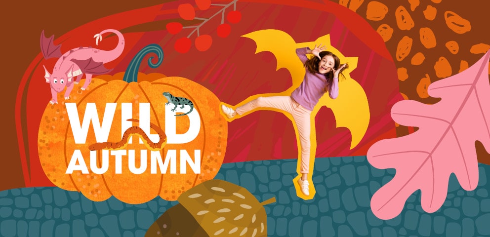 Wild Autumn at Marwell Zoo