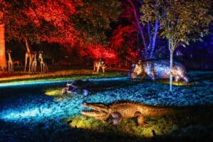 Savannah Animals sculptures lit up by multicoloured lights at Glow Marwell at Marwell Zoo