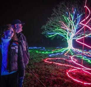 Two people look at a tree with coloured lights at the Glow Marwell winter light trail at Marwell Zoo