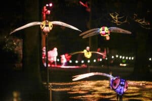 Glow Marwell Dragonflies by Martha Ellis