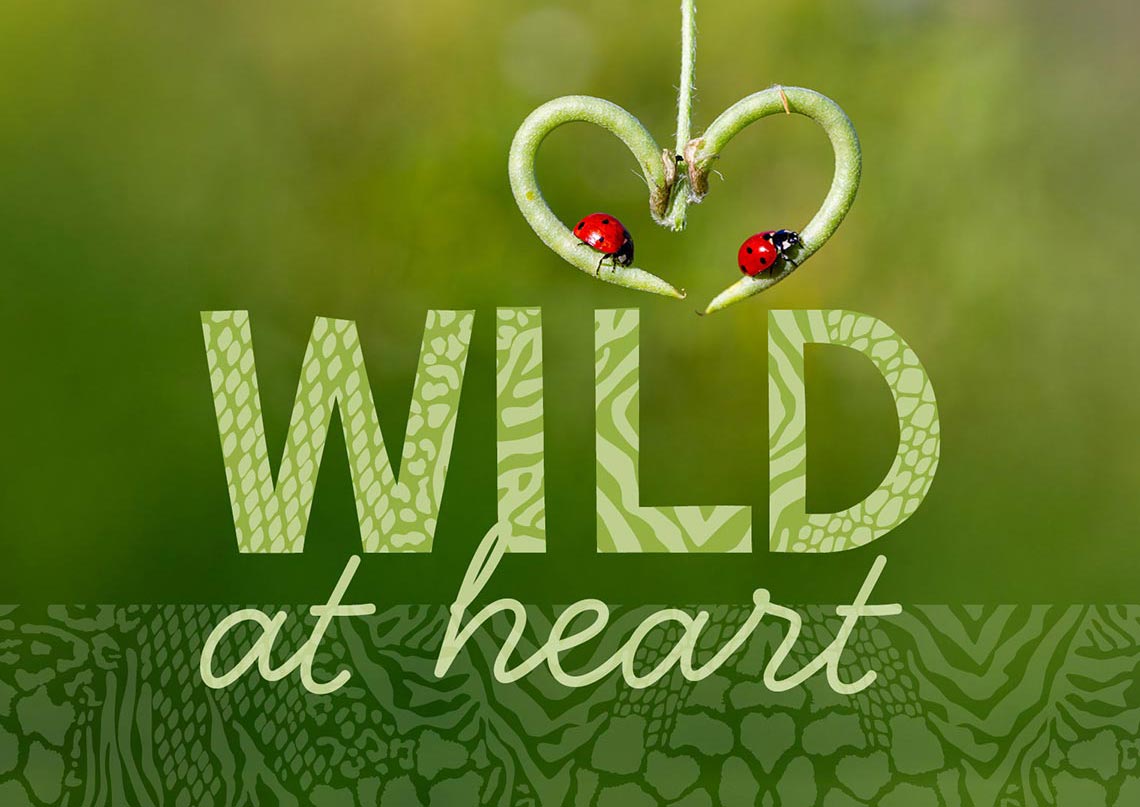 Wild at Heart February half term at Marwell Zoo