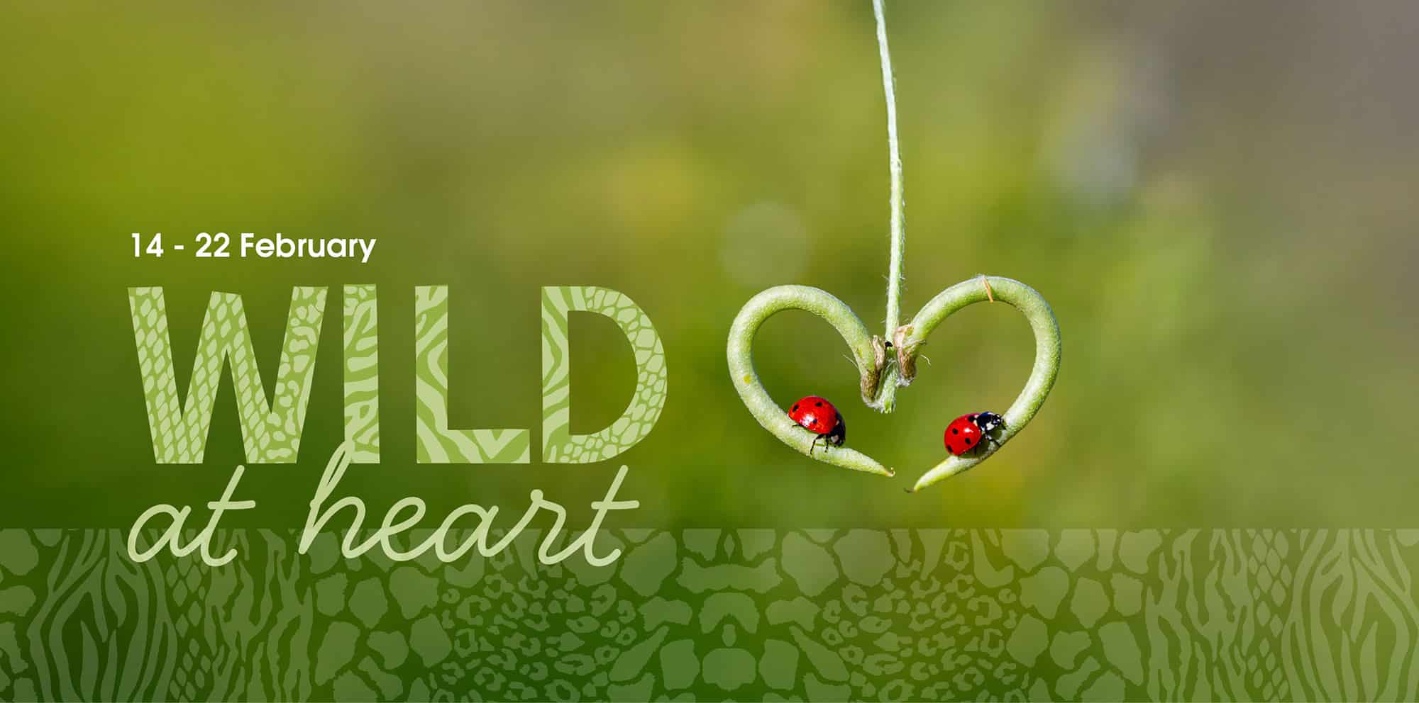 Wild at Heart February half term at Marwell Zoo