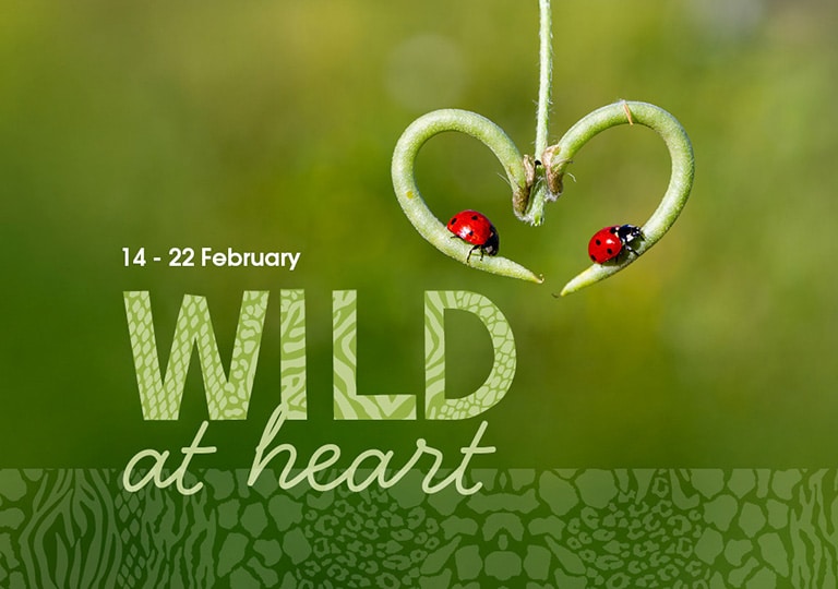 Wild at Heart February half term at Marwell Zoo