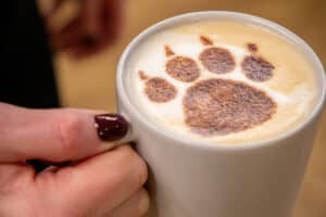 A close up of a visitor holding a hot drink with a paw print stencil at Marwell Zoo