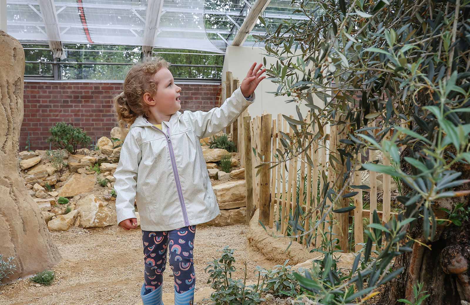 A child reaches out to touch leaves in the Thriving Through Nature exhibit at Marwell Zoo