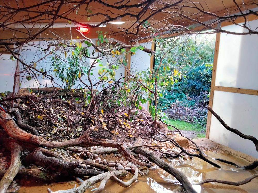 Improvements to the Upper Walkthrough Aviary at Marwell Wildlife, including a larger pool and large natural ground area