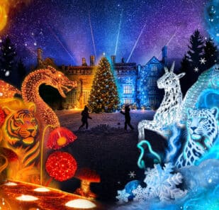 Christmas at Marwell Fire & Ice