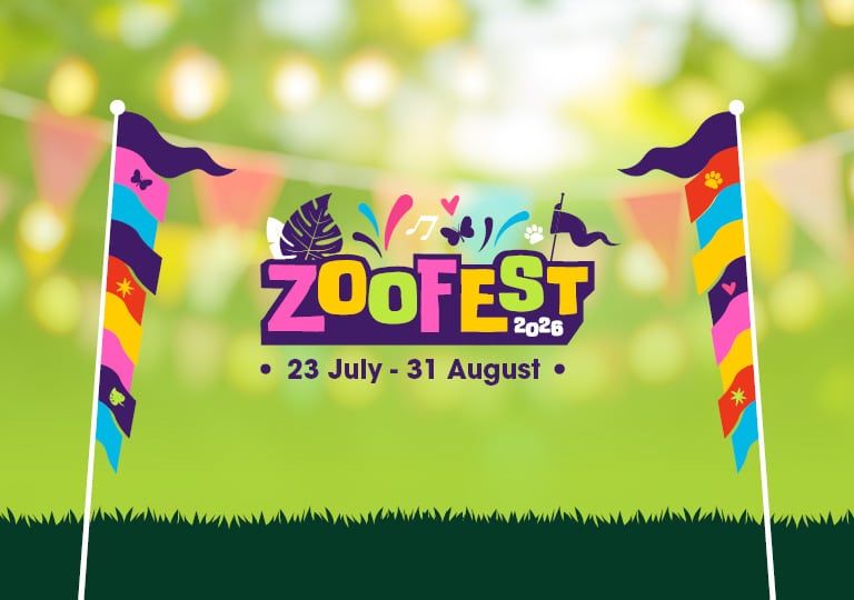 Zoofest at Marwell Zoo