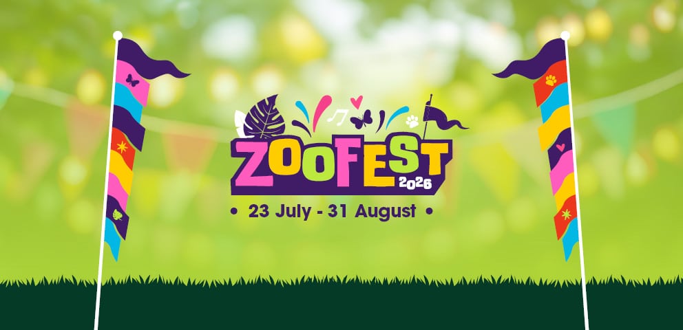 Zoofest at Marwell Zoo