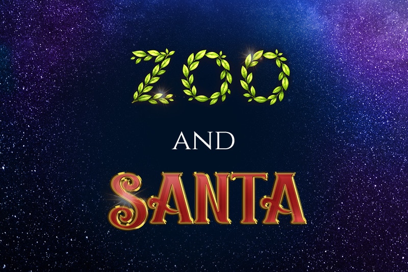 Zoo and Santa