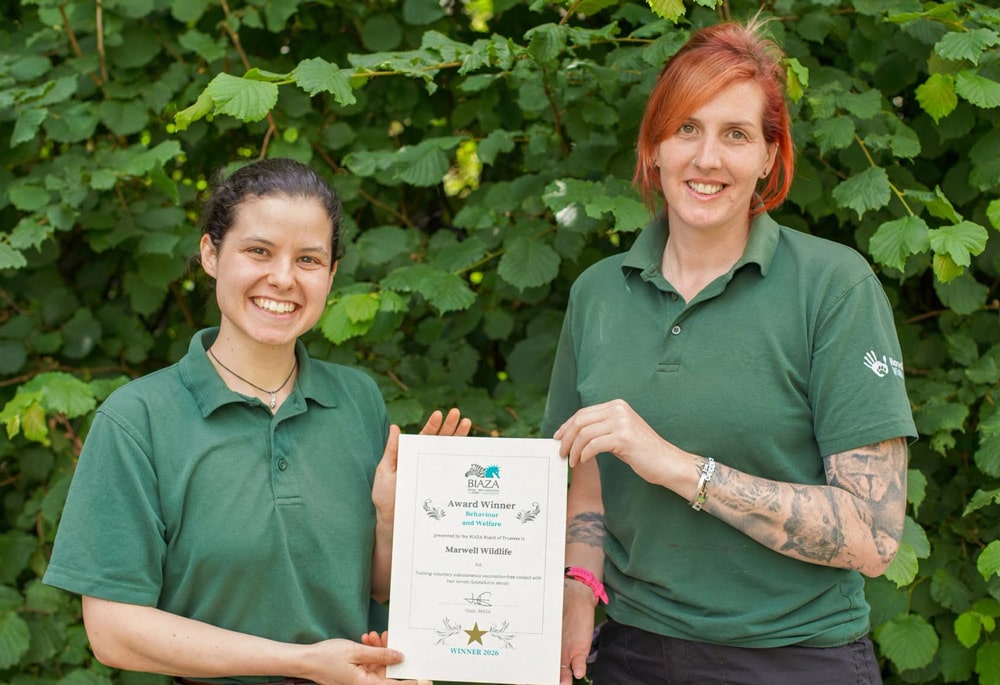Two members of the Carnivore Team at Marwell Wildlife hold their certificate as winner of the Behaviour and Welfare award at the BIAZA awards