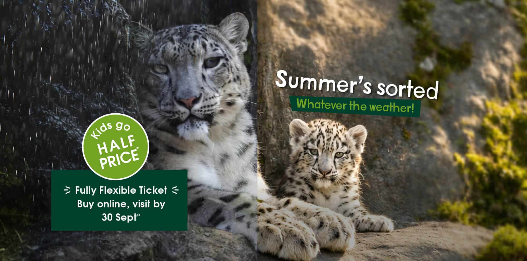 Summer's Sorted, Whatever the weather! Kids go half price, and enjoy a fully flexible ticket when you buy online and visit by 30 Sept 2026