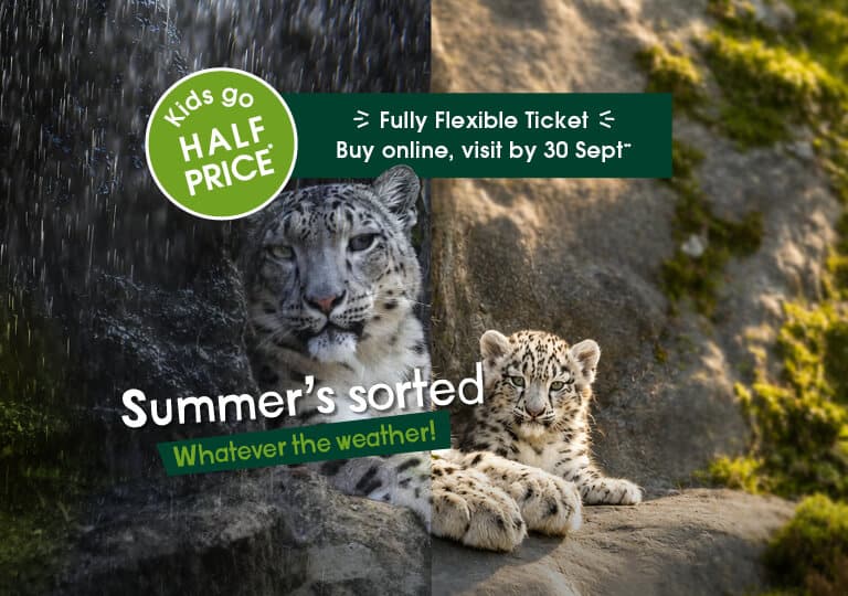 Summer's Sorted, Whatever the weather! Kids go half price, and enjoy a fully flexible ticket when you buy online and visit by 30 Sept 2026