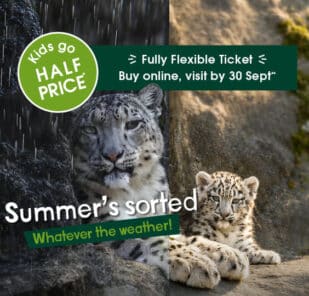 Summer's Sorted, Whatever the weather! Kids go half price, and enjoy a fully flexible ticket when you buy online and visit by 30 Sept 2026