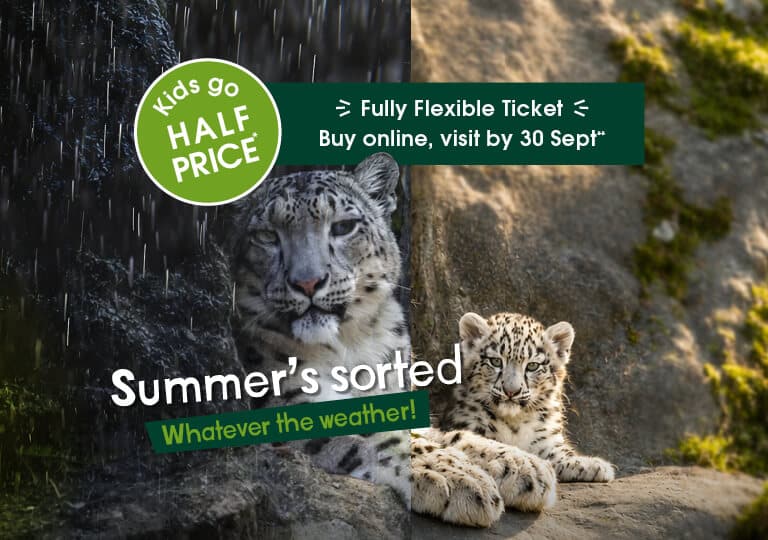 Summer's Sorted, Whatever the weather! Kids go half price, and enjoy a fully flexible ticket when you buy online and visit by 30 Sept 2026