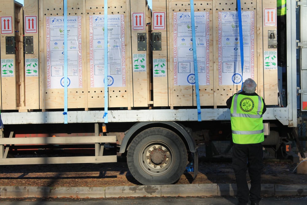 Crates loaded onto lorry before leaving Marwell for the airport, December 2015